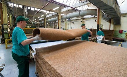 PKB w II kwartale tego roku urósł o 0,8 proc. rok do roku po tym jak wzrósł o 0,5 proc. w I kwartale