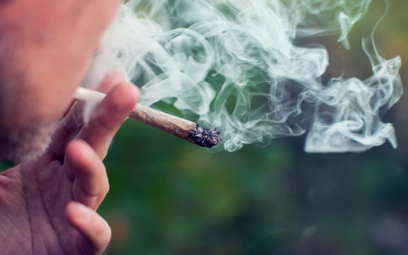 Legalna marihuana odmianą dla papierosów