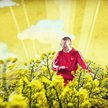 Teledysk - niedoceniana sztuka