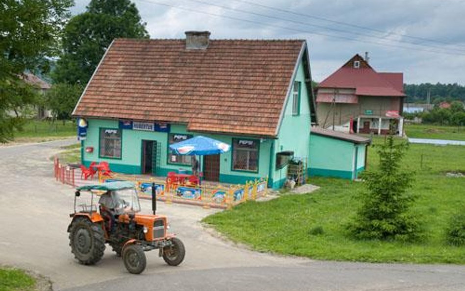 Kary za brak pozwolenia zgodne z konstytucją