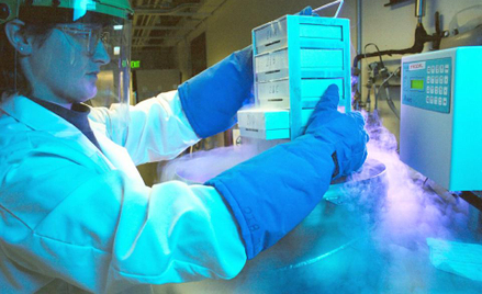 Kto zapyta obywateli. Spór o in vitro