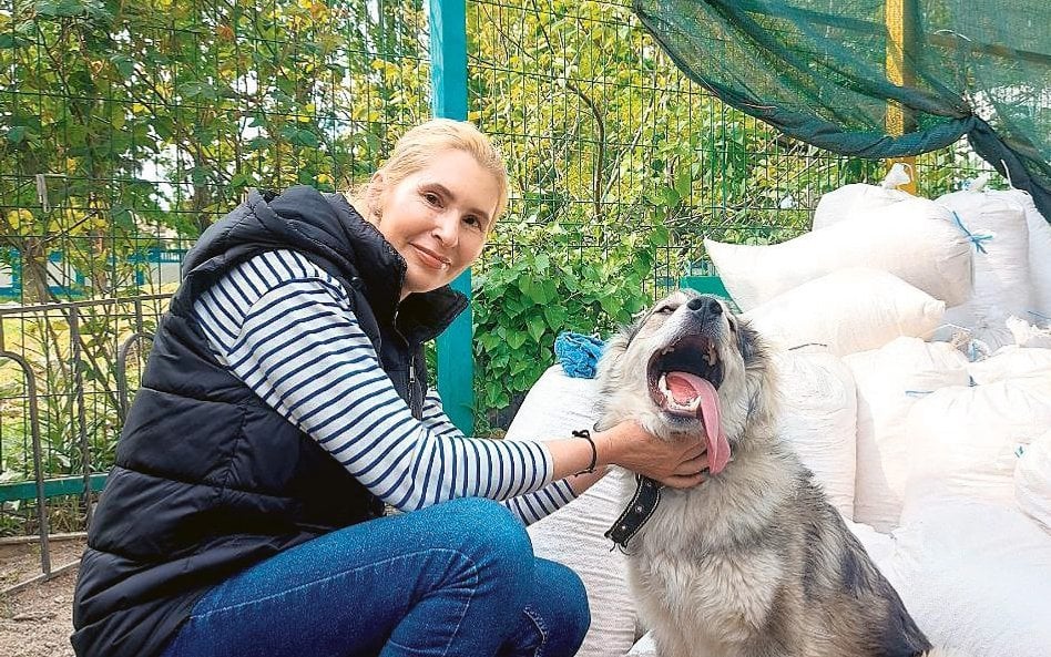 Psy i koty giną w wybuchach min, a inne zabijają rosyjscy żołnierze. – Te bliżej linii frontu znajdu