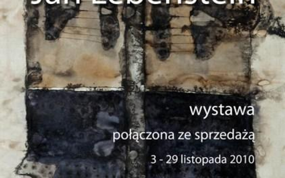 Lebenstein w salonie Desy