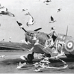 Samolot Spitfire 317. Dywizjonu Myśliwskiego