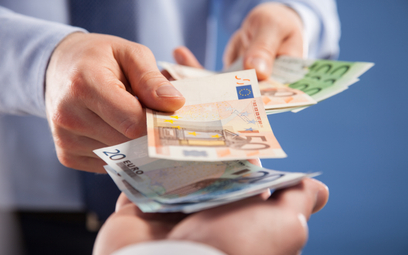 Polityka rządu i banku centralnego oddalają nas od euro