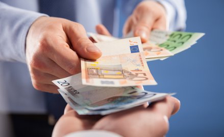 Polityka rządu i banku centralnego oddalają nas od euro