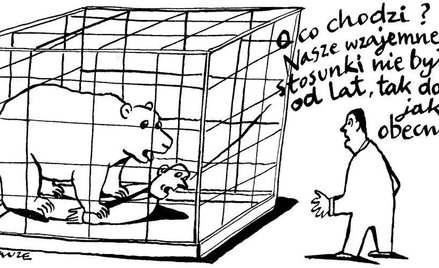Komentarz rysunkowy. O co chodzi?