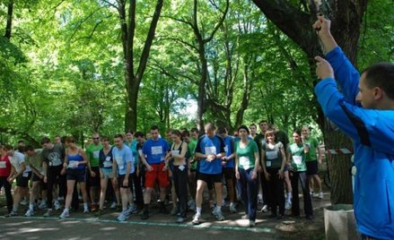 Autor: Karina Góźdź