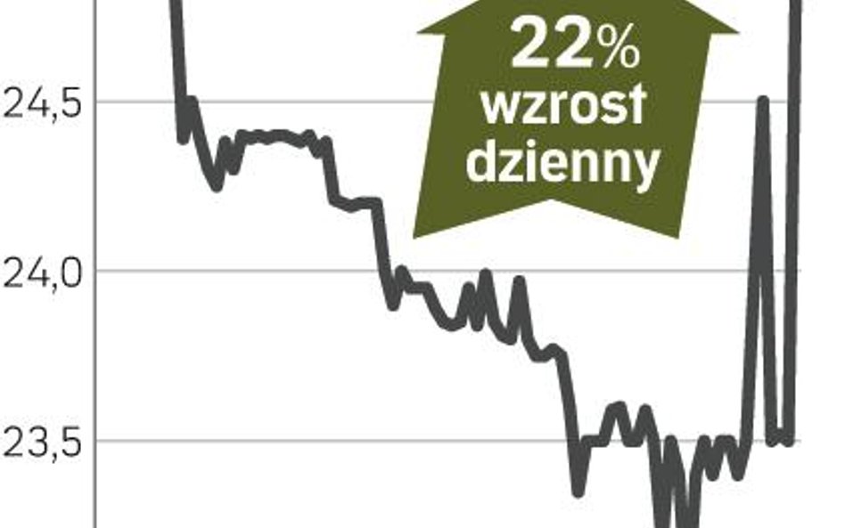 Impel – spółka, o której się mówi w Warszawie