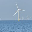 Farma wiatrowa Anholt w Danii.