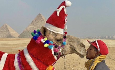 Najwięcej klientów Wakacje.pl wybiera się na święta i Nowy Rok do Egiptu