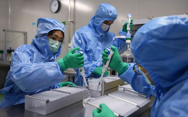 Chiny: WHO nie ma dowodów, że wirus powstał w laboratorium