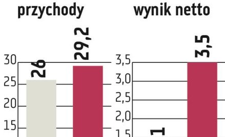LSI Software: Rentowność biznesu poszła mocno w górę