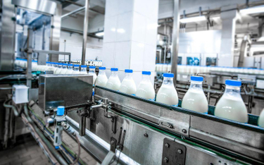 Chińskie kłopoty polskiego mleka