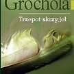 Trzepot skrzydeł