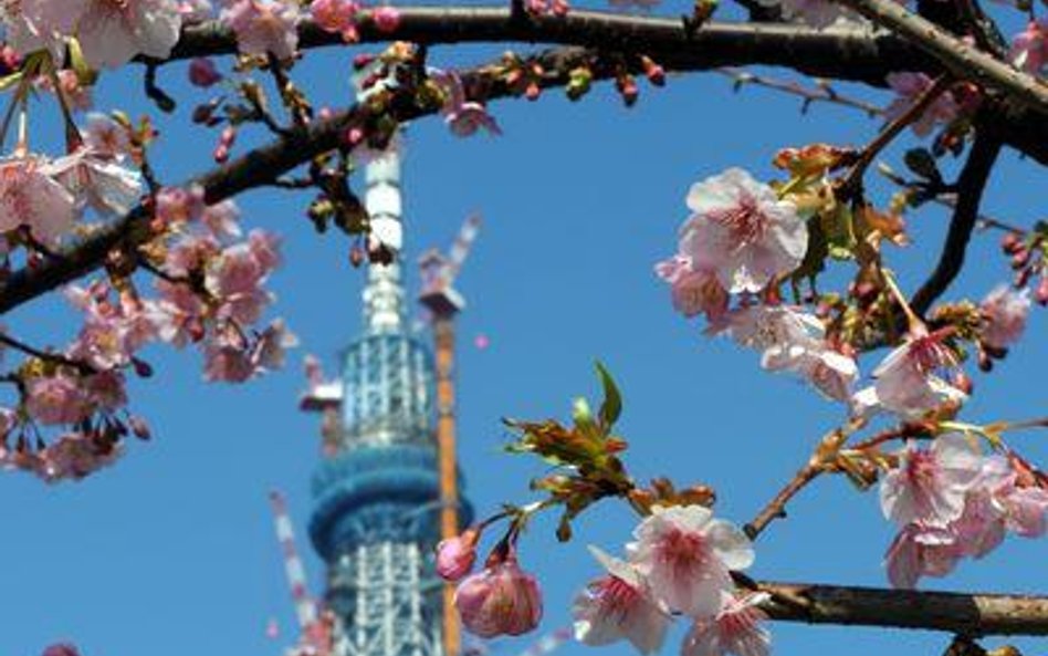 Agencja ratingowa Moody's Investors Service obniżyła perspektywę ratingu Japonii