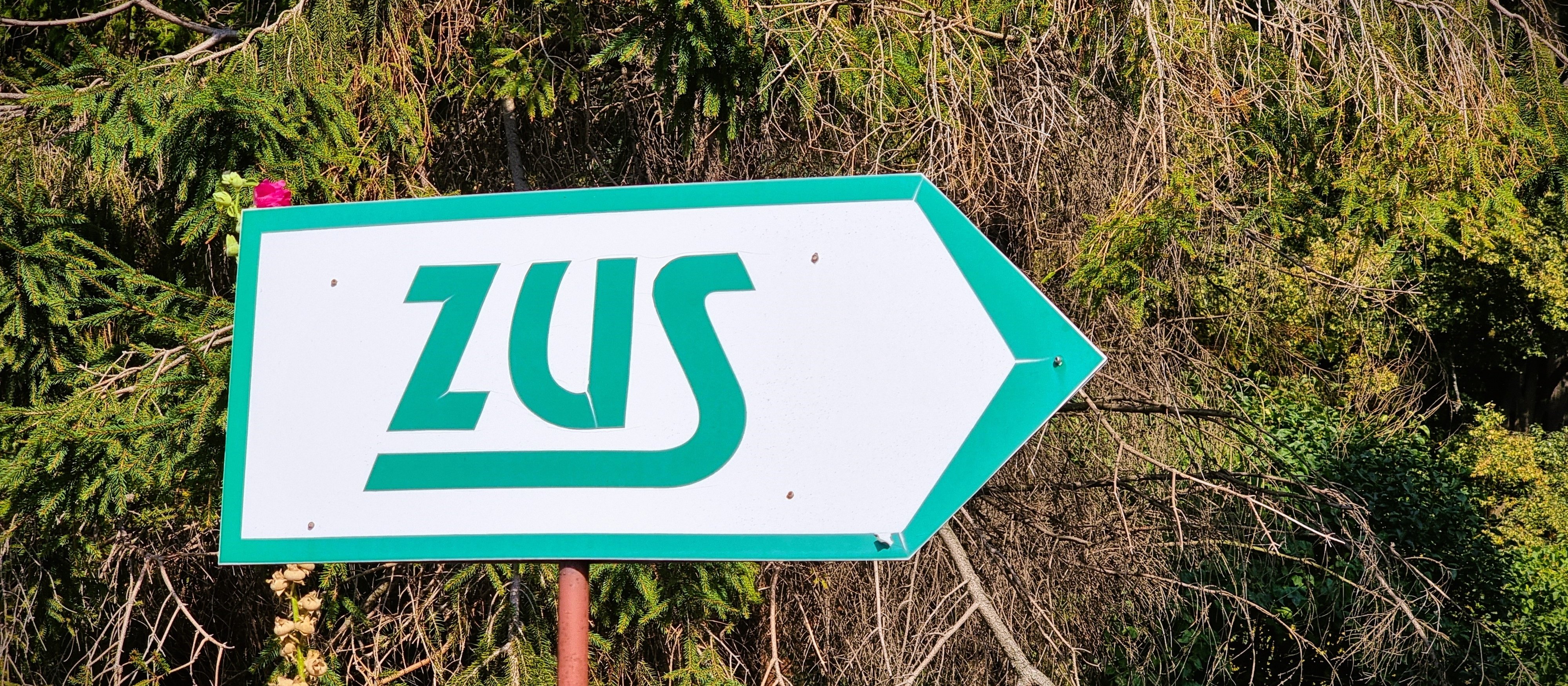 20 maja mija termin na rozliczenie składki zdrowotnej. ZUS odda nadpłatę