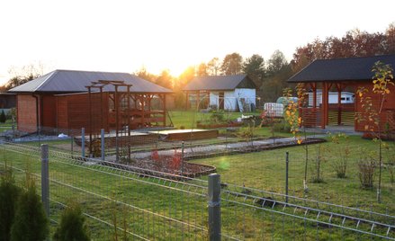 PZD domaga się zmian w przepisach dotyczących ogrodów działkowych