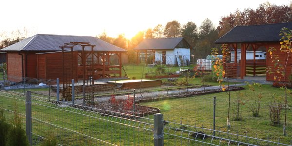 Przyszłość ROD zagrożona. Działkowcy domagają się zmian w przepisach