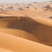 South China Moring Post: Chińczycy sadzą ryż w Dubaju
