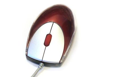 Warto być informatykiem