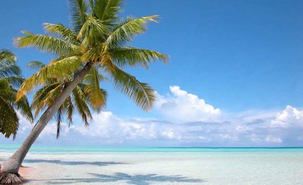 Praca marzeń? Para poszukuje niani na rejs