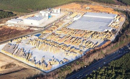 Stelmet: Główny akcjonariusz dopiął swego