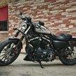 Harley-Davidson Iron 833 – lider sprzedaży marki w Polsce