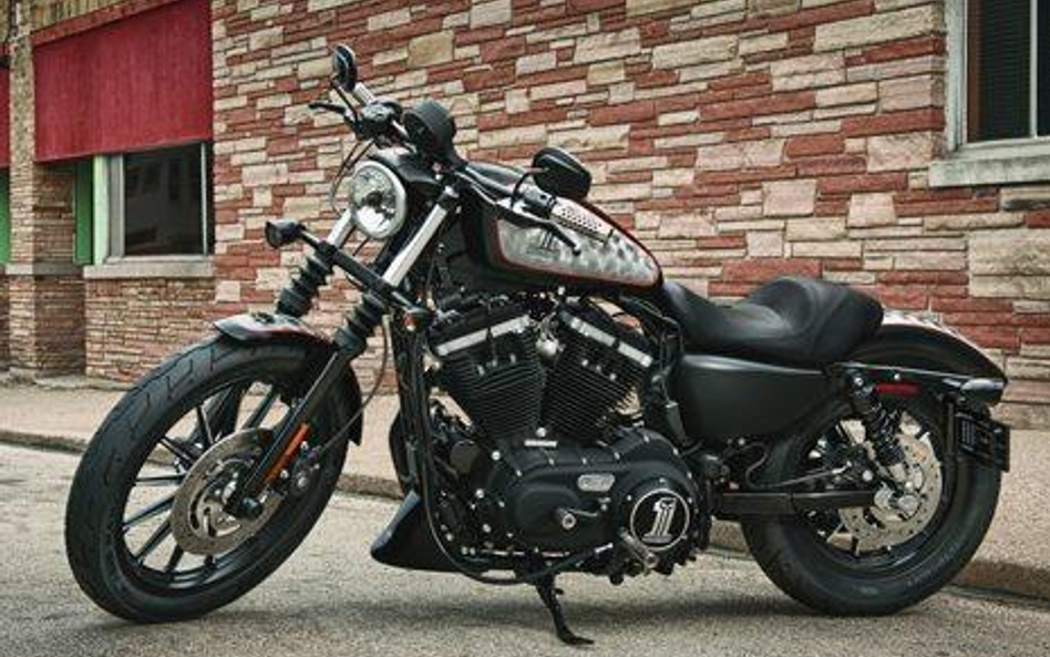 Harley-Davidson Iron 833 – lider sprzedaży marki w Polsce