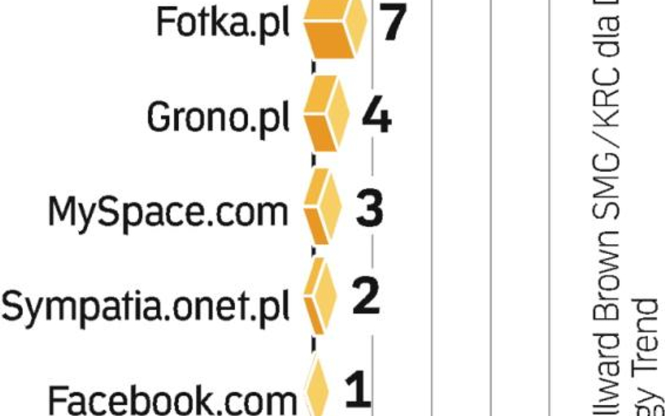 Nasze społeczności. Spośród 47 proc. Polaków, którzy mają dostęp do Internetu (V 2009 r.), aż 36 pro