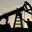 Dochody ze sprzedaży ropy naftowej i gazu finansują 60 procent wydatków budżetowych Azerbejdżanu.