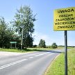 Wścieklizna na Mazowszu: co powinni wiedzieć właściciele zwierząt