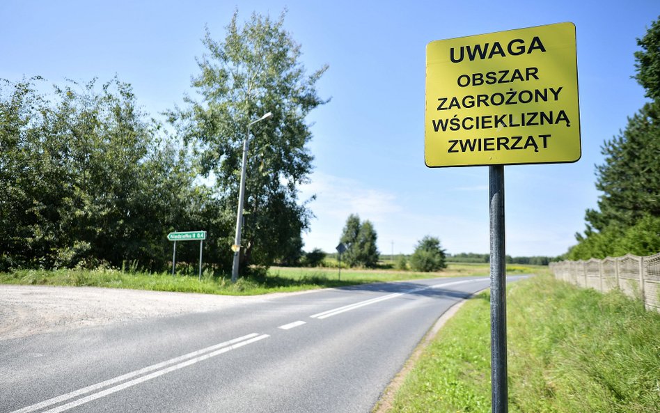 Wścieklizna na Mazowszu: co powinni wiedzieć właściciele zwierząt
