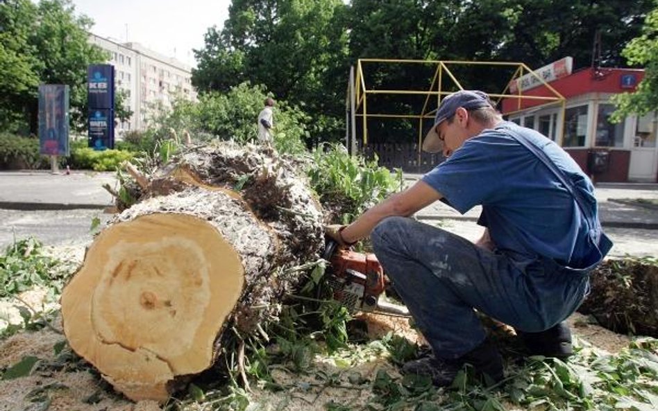 PIT: Umorzenie kary za wycinkę drzew nie powoduje powstania podatkowego przychodu dłużnika.