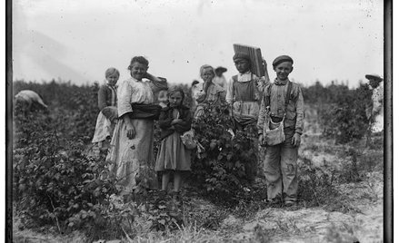 Hameryka, rok 1909. Polacy na polach pod Baltimore