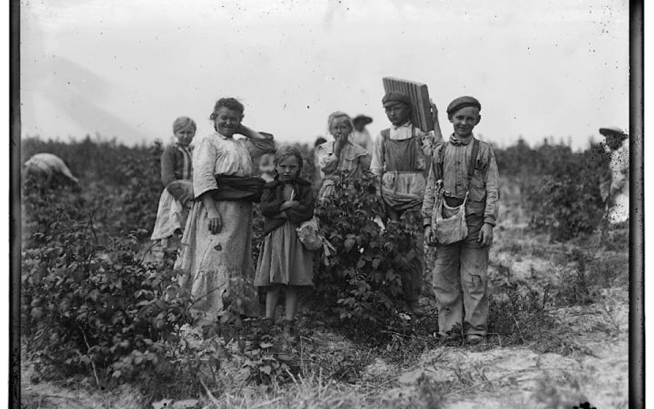 Hameryka, rok 1909. Polacy na polach pod Baltimore