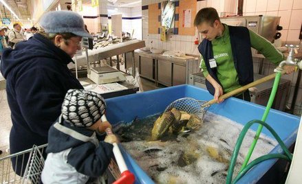 Świątecznym karpiom należą się godne warunki