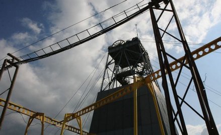 Szacunek Bogdanki: w pierwszym półroczu 112,1 mln zł zysku