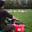 The Guardian: Brexit uderzy w farmerów