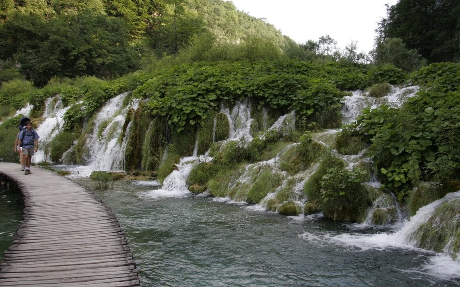 Park Narodowy Jezior Plitwickich tworzą efektowne wodospady i baseny ułożone piętrowo