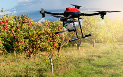 Polskie firmy mogą liczyć na dofinansowanie technologii AI wspierających rolnictwo precyzyjne
