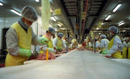 Indykpol: Producent wróci do Azji i na Wschód