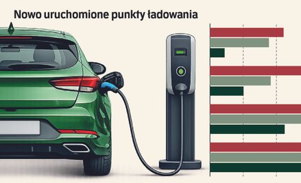 Koszty duszą rynek ładowania aut elektrycznych