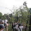 W warszawskim zoo