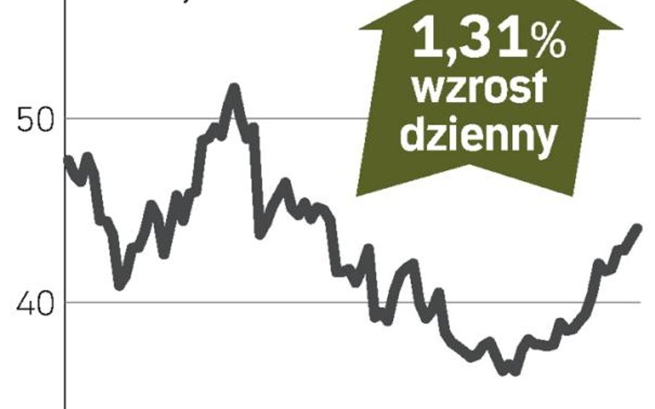 Transocean – spółka, o której się mówi w Zurychu