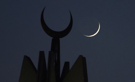 Niemcy: Martwa świnia na budowie meczetu