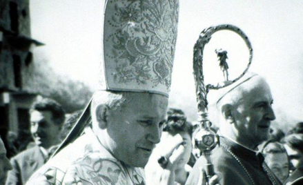 Głupota i nic więcej
