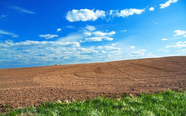 Ustawa o ustroju rolnym wejdzie w życie 1 maja 2016