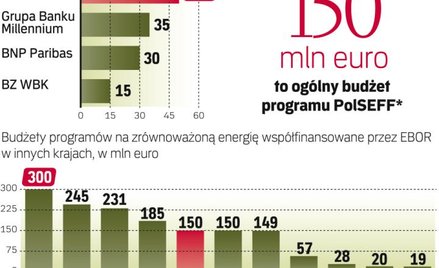 Program PolSEFF pozwala oszczędzić energię
