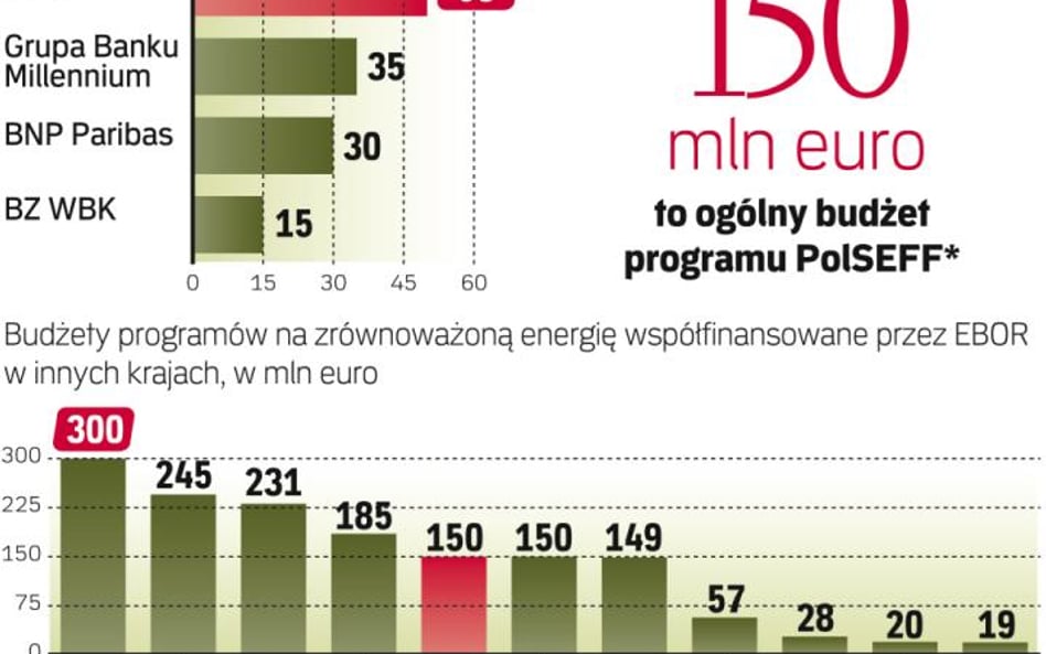 Program PolSEFF pozwala oszczędzić energię